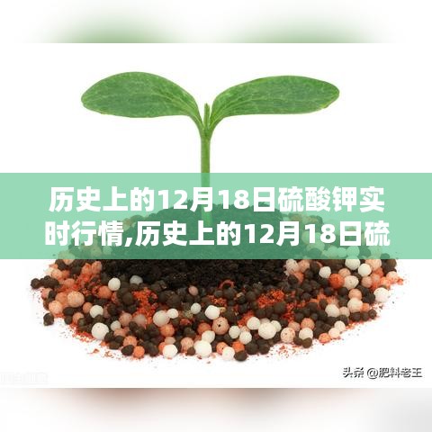 历史上的12月18日硫酸钾实时行情深度解析