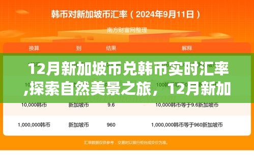 揭秘汇率背后的故事，12月新加坡币兑韩币汇率与探索自然美景之旅的启示