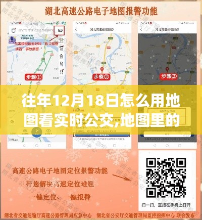 如何通过地图查看实时公交信息，暖心时光陪伴温馨冬日日常