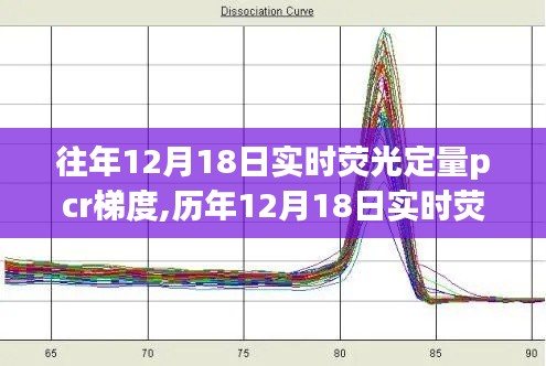 历年与实时荧光定量PCR梯度解析，技术前沿与应用展望的探讨