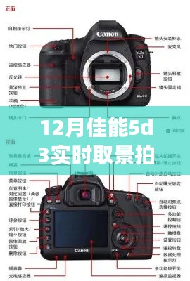 佳能5D Mark III实时取景拍摄设置指南，12月从零起步，轻松掌握技巧！