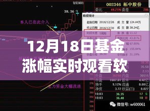 云端漫步心灵之旅，实时观看软件助你洞悉基金涨幅