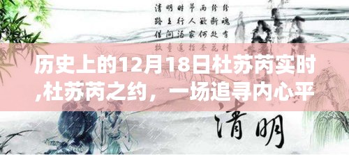 杜苏芮之约，追寻内心平静的奇妙旅程——历史上的12月18日杜苏芮实时记录