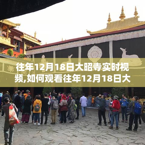 往年12月18日大昭寺实时视频观看指南，详细步骤与体验分享