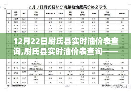 尉氏县实时油价表查询，最新油价信息详解（12月22日）