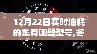 冬至时节揭秘，实时油耗领先车型背景与地位——12月22日车型盘点