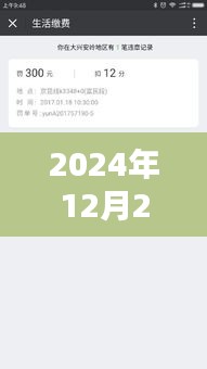 以2024年12月22日为例，扣费不实时该如何办理退款