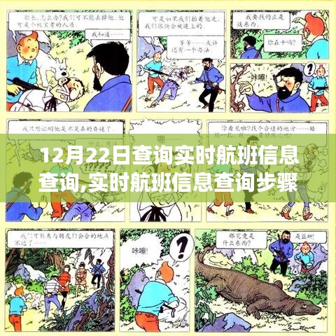 实时航班信息查询指南，初学者与进阶用户步骤详解（12月22日更新）