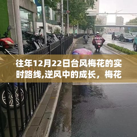 逆风中的成长之旅，梅花台风实时轨迹与励志之旅的启示