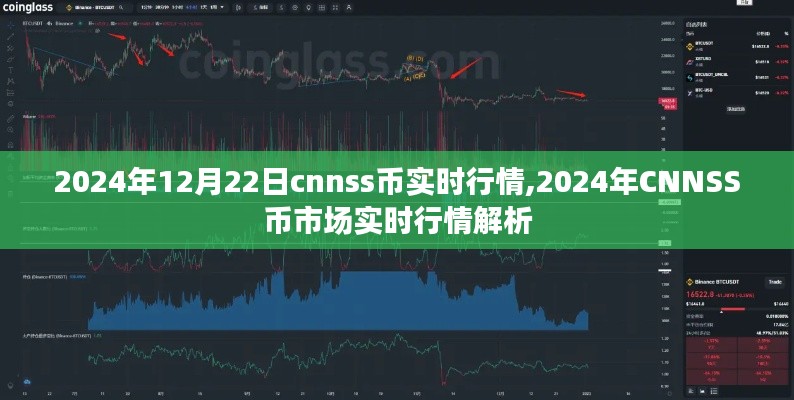 2024年CNNSS币市场实时行情解析，深度洞察币价动态