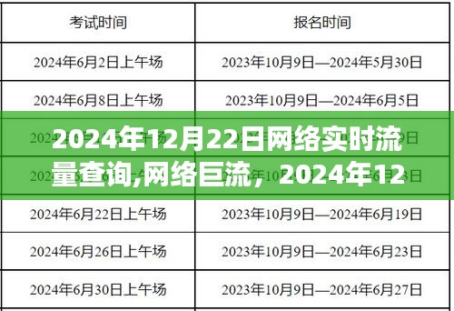 2024年12月22日网络实时流量查询脉络与影响，网络巨流的深度洞察