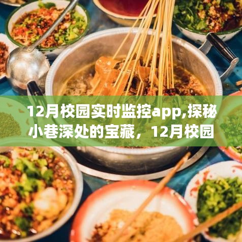 探秘小巷宝藏，校园实时监控App与独特小店的冬日故事