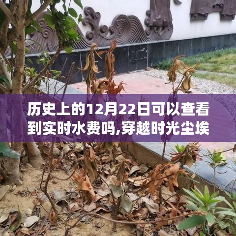 探寻历史水费秘密，实时账单与小巷特色小店的时光尘埃之旅