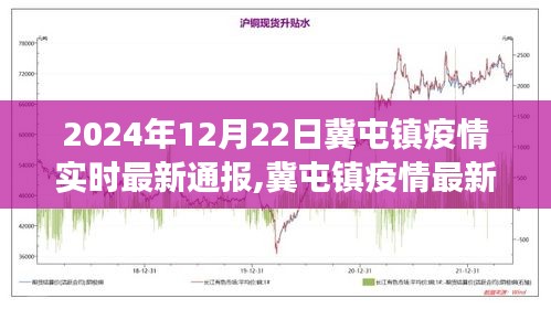 冀屯镇疫情最新进展报告及实时数据解析（2024年12月22日）