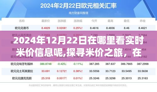 探寻米价之旅，自然怀抱中的米香秘密与实时米价信息（2024年12月22日）