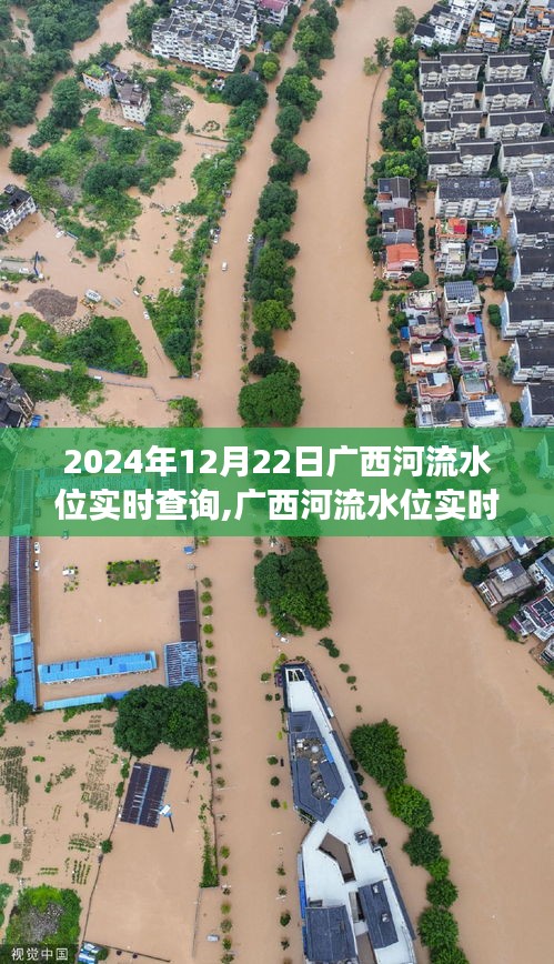 广西河流水位实时查询，观察与回顾，广西河流水位实时数据（2024年12月22日）