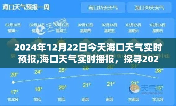 海口天气实时播报，探寻气候奥秘，了解2024年12月22日气候信息