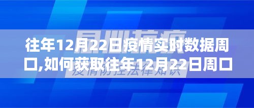 往年12月22日周口疫情实时数据获取指南，详细步骤与数据解读