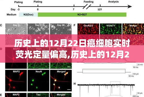 历史上的12月22日，癌细胞实时荧光定量技术的突破与发展及其影响