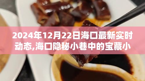 海口隐秘小巷宝藏小店，揭秘宝藏小店，探索惊喜之旅