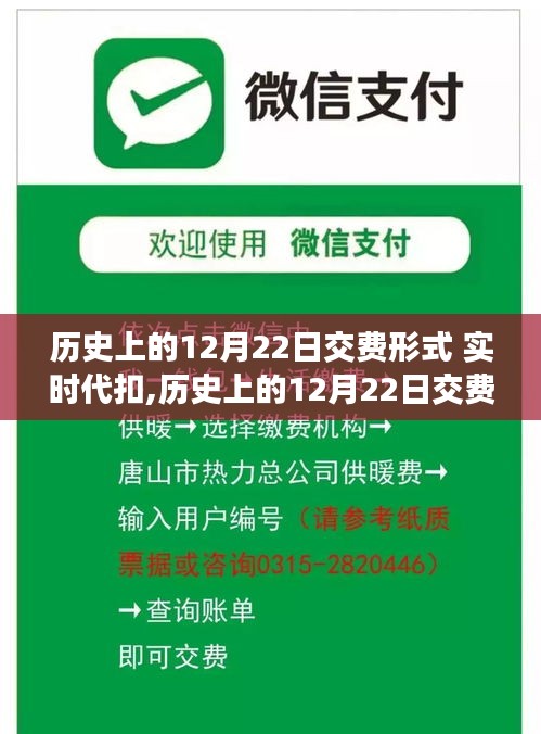 历史上的12月22日交费形式演变与实时代扣操作指南详解