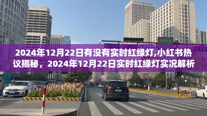 小红书揭秘，2024年12月22日实时红绿灯实况解析与热议