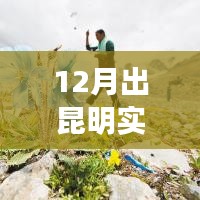 昆明十二月实时交通探索之旅，与自然交融，寻找内心宁静