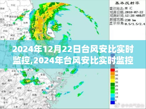 2024年12月24日