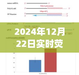 探索自然秘境，荧光定量PCR反应步骤详解与心灵之旅启程