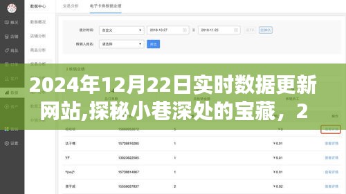 探秘小巷深处的宝藏，特色小店与实时数据更新网站下的独特风情