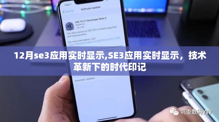 SE3应用实时显示，技术革新引领时代新标识