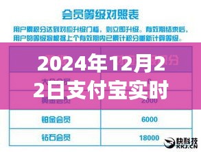 支付宝实时收益查看新功能体验，掌控每日收益，感受科技生活便捷