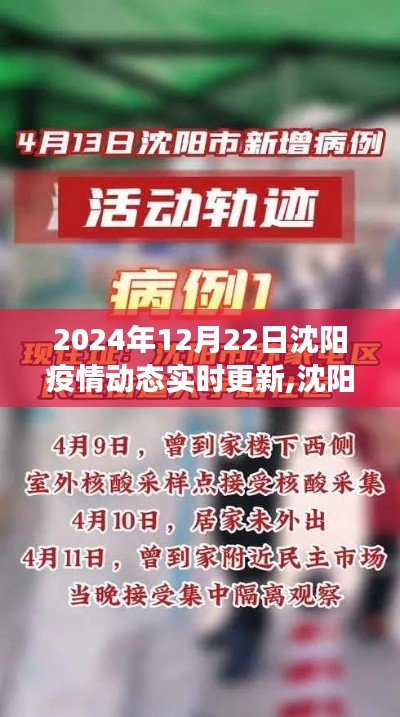 沈阳战疫记，疫情动态实时更新与小巷深处的温情故事（2024年12月22日）