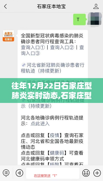 石家庄型肺炎实时动态追踪，12月22日监测步骤指南与学习资源