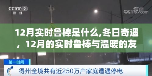 揭秘12月实时鲁棒，冬日奇遇与温暖的友情时刻