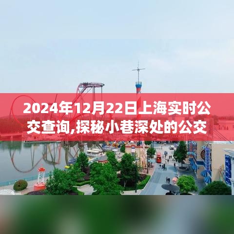 探秘上海小巷深处的公交秘境，2024年12月22日实时公交查询之旅