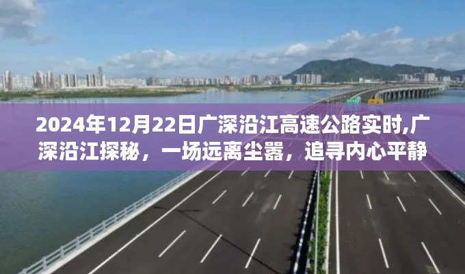 广深沿江高速公路最新实时探秘，追寻内心平静的旅程之旅