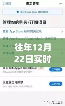揭秘往年12月22日实时付款延迟背后的故事，未到账的期待与原因解析