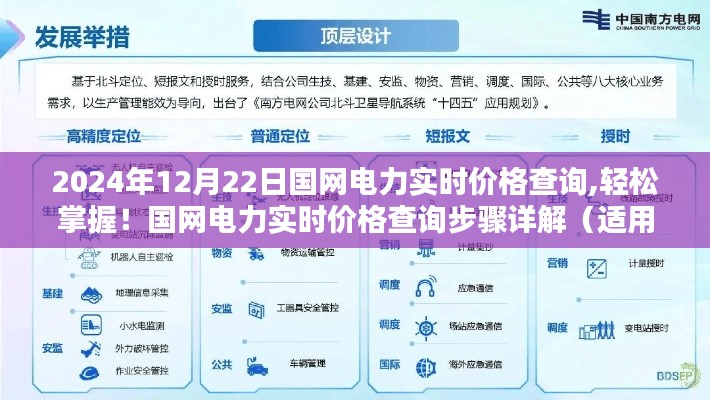 国网电力实时价格查询详解，轻松掌握查询步骤，适用于初学者与进阶用户（2024年实时更新）