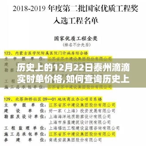 如何查询历史上的12月22日泰州滴滴实时单价格，详细步骤与指南