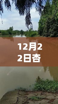 杏坛东海大河12月22日水情实时播报，水域风情与美丽景色欣赏