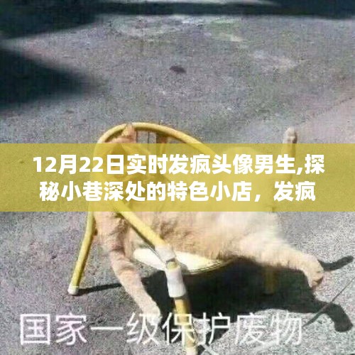 探秘男生专属时尚秘境，小巷深处的特色小店与发疯头像男生的秘密世界