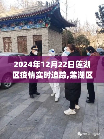 莲湖区疫情实时追踪，2024年12月22日最新动态与防疫前线报道