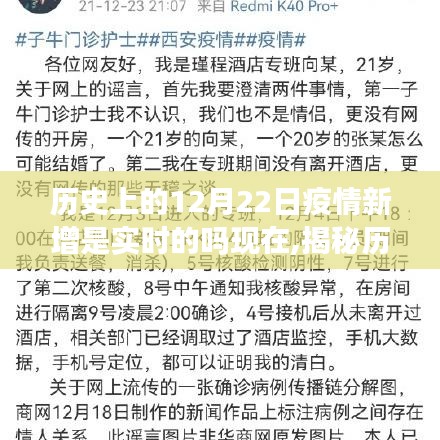 揭秘历史疫情数据，如何准确查询和理解12月22日的疫情新增数据实时性探讨