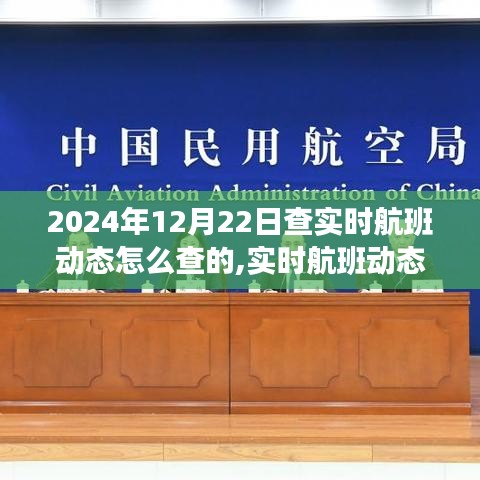 2024年12月22日实时航班动态查询详解与全攻略