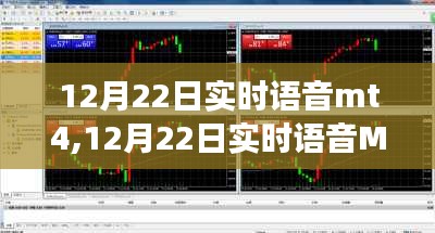 12月22日实时语音MT4新功能解析与应用指南