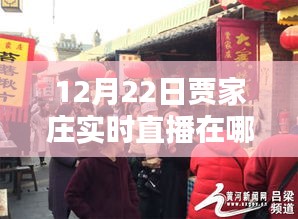 贾家庄12月22日实时直播观看指南，观看途径与详细步骤标题建议，贾家庄直播盛典，如何观看12月22日实时直播？详细指南在此！