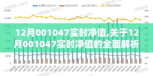 12月001047实时净值详解，全面解析及最新动态