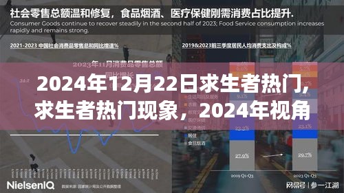 2024年视角下的求生者热门现象，多元解读与个人立场