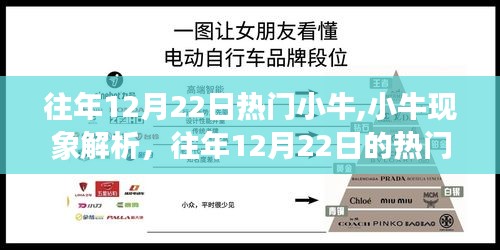 揭秘往年12月22日热门小牛背后的故事与现象解析